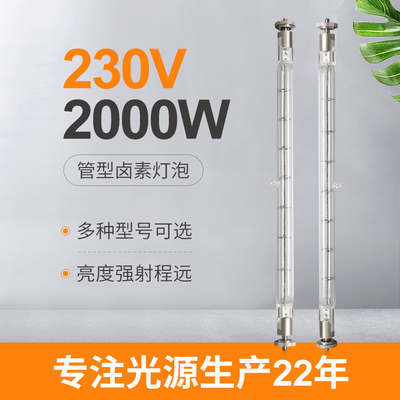 230V 2000W টংস্টেন ডাবল এন্ডেড লিনিয়ার হ্যালোজেন ল্যাম্প কমার্শিয়াল 215 মিমি লিড
