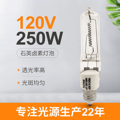 120V 250W সিঙ্গেল এন্ড হ্যালোজেন বাল্ব Jd E11 মিনি ক্যান্ডেলাব্রা ইনস্ট্রুমেন্ট ল্যাম্প