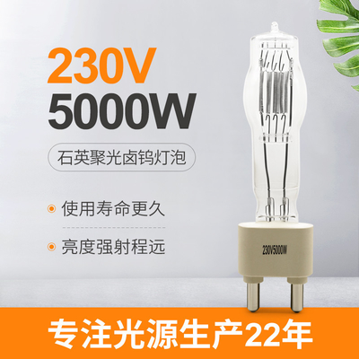 230V 5000W G38 ​​স্টেজ কোয়ার্টজ ল্যাম্প বাল্ব স্টুডিও এন্টারটেইনমেন্ট ওয়েডিং বার